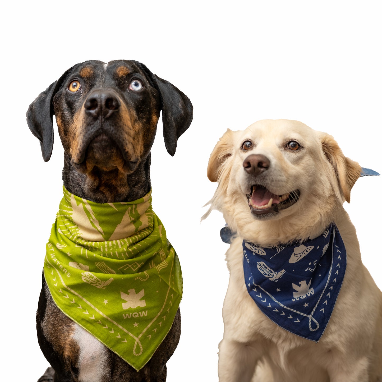 Bandana